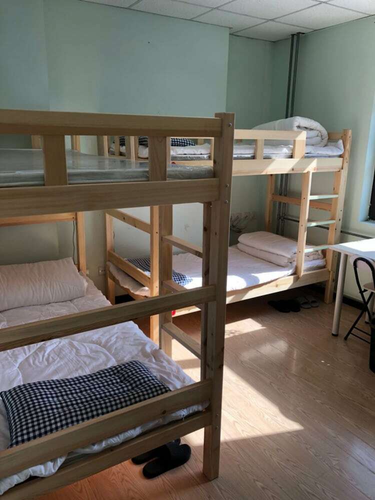 Hostal Forest Youth Hostel