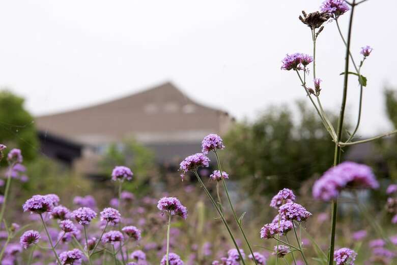 Hotel Suzhou River-purple Resorts&spa