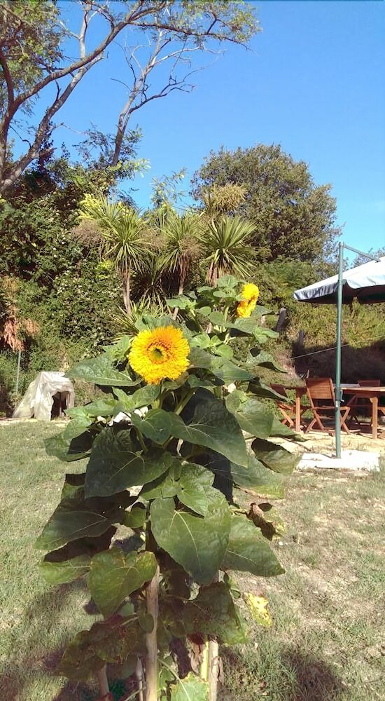 B&B Villa Peppe
