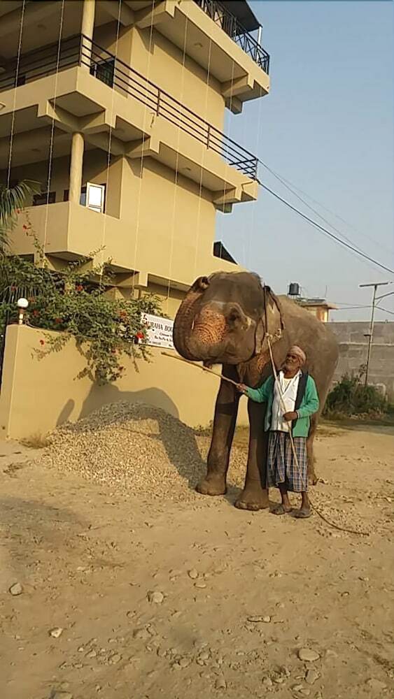 Hotel Sauraha Boutique Resort