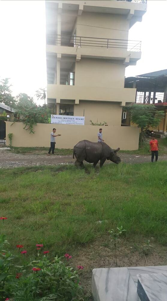 Hotel Sauraha Boutique Resort