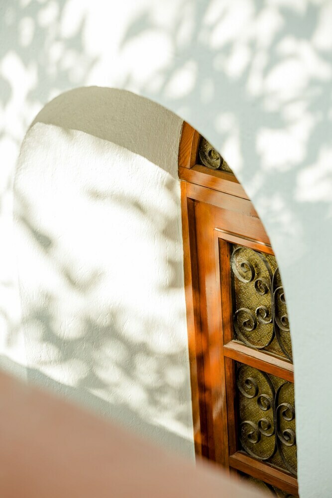 Bed & Breakfast Villa Araucaria