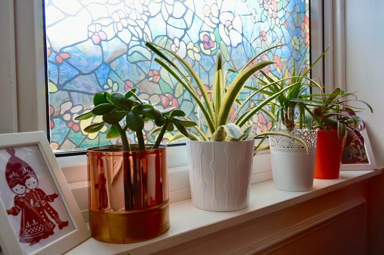 Apartamentos 1 Bedroom Flat In West Edinburgh