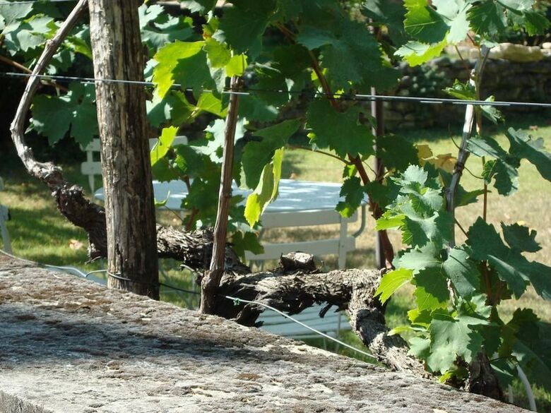 Domaine Saint Luc - Gite Flavone