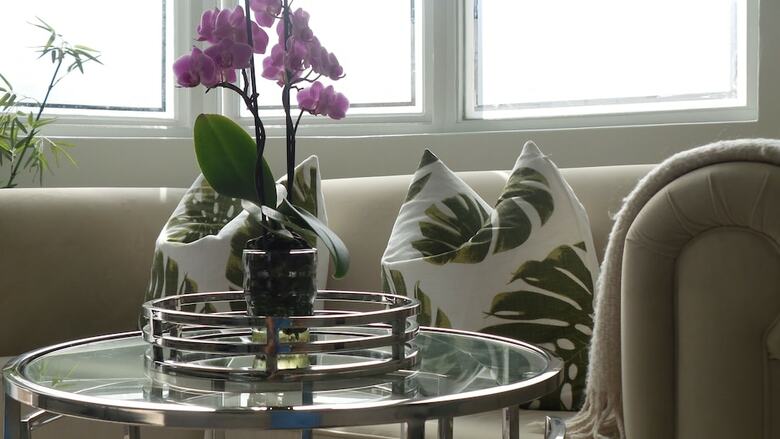 Apartamentos Melrose Executive Suites