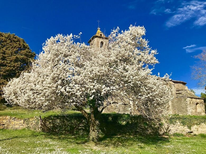 Apartamento Ch�teau de Villarlong