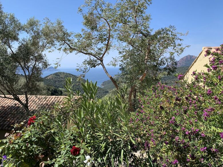 Apartamento R�sidence Les Asphod�les