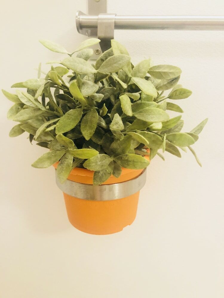 Apartamentos Kurhan 16