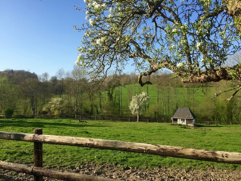 Bed & Breakfast Le Champ Des Possibles