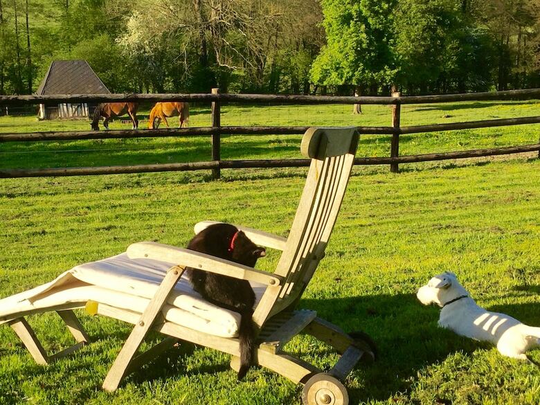Bed & Breakfast Le Champ Des Possibles