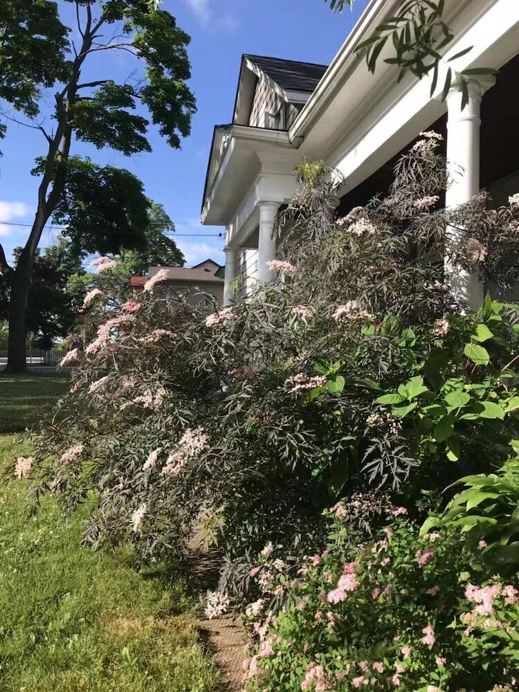 Hotel White Swan House