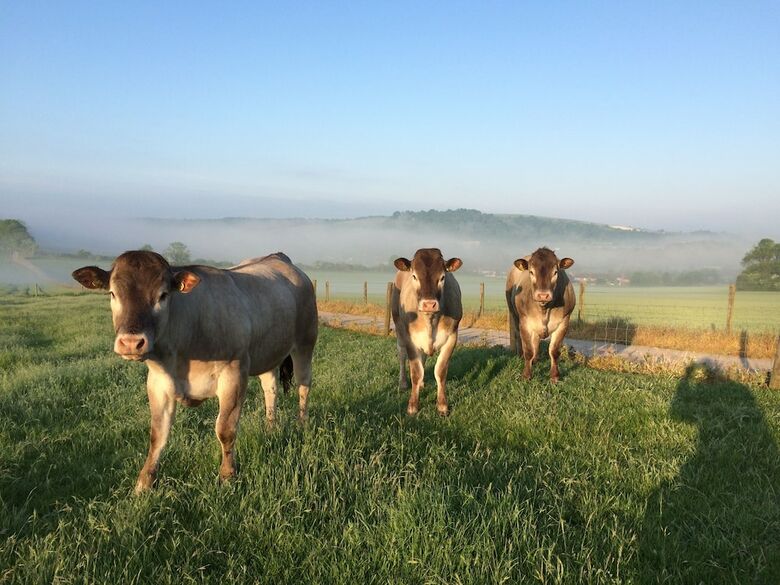 Gallops Farm Holiday Cottages