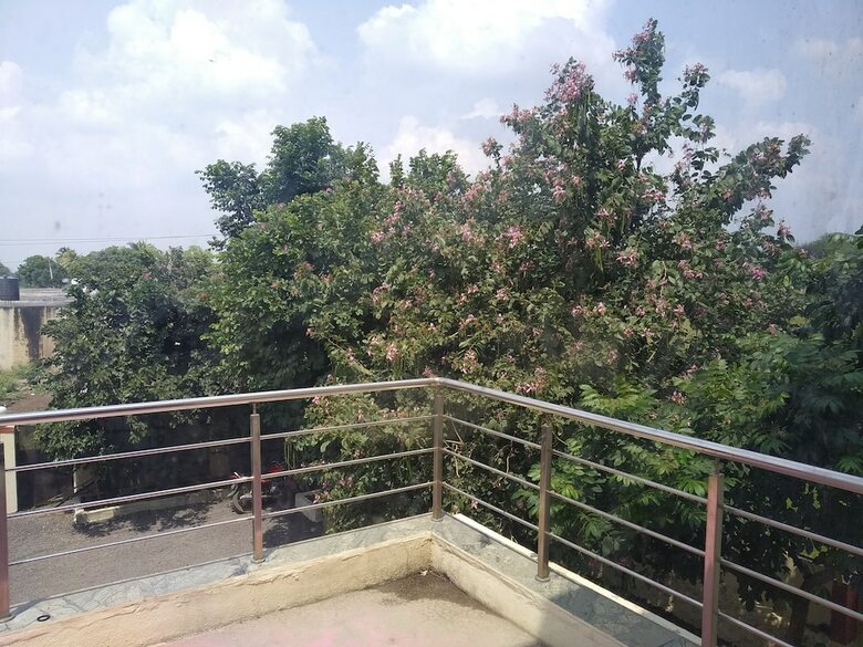 Hotel Sawali