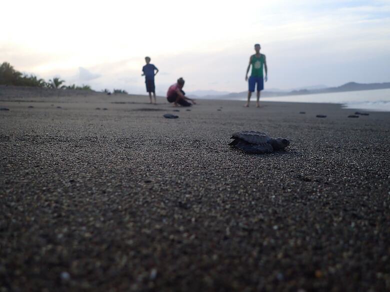 Hotel Morrillo Beach Eco Resort