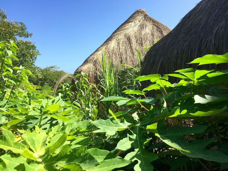 Posada Asdunas Lodge - All Inclusive