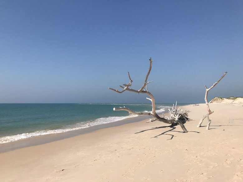 Posada Asdunas Lodge - All Inclusive