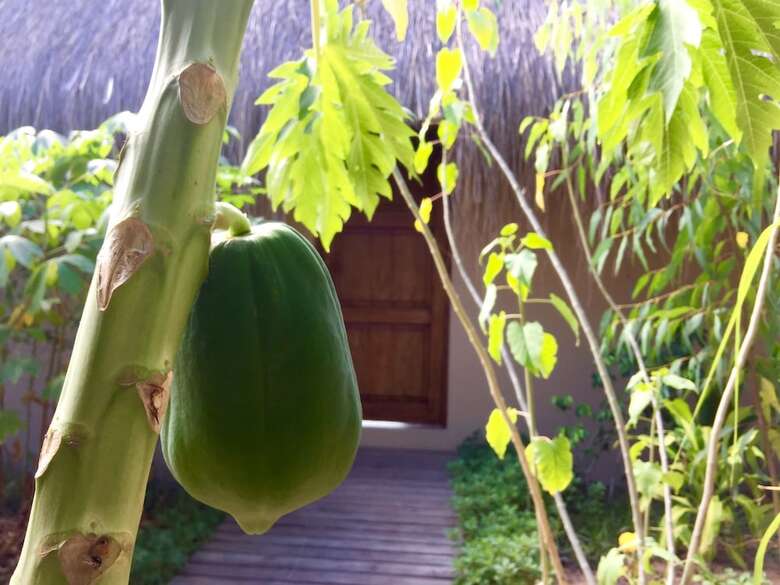Posada Asdunas Lodge - All Inclusive
