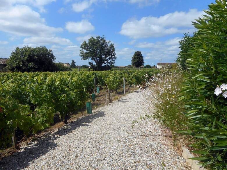 Bed & Breakfast Ch�teau Papounan