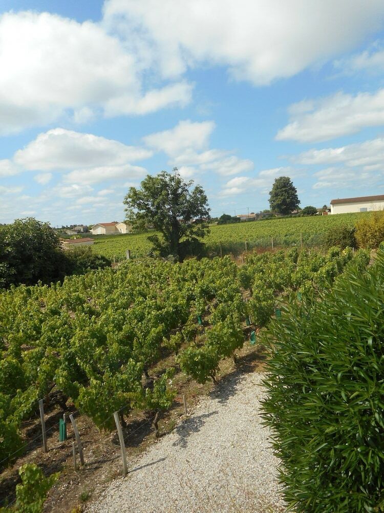 Bed & Breakfast Ch�teau Papounan