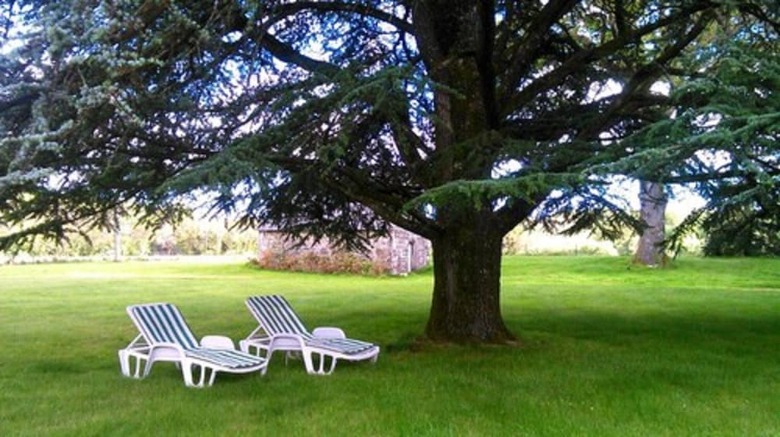 Bed & Breakfast Manoir Tregont Mab