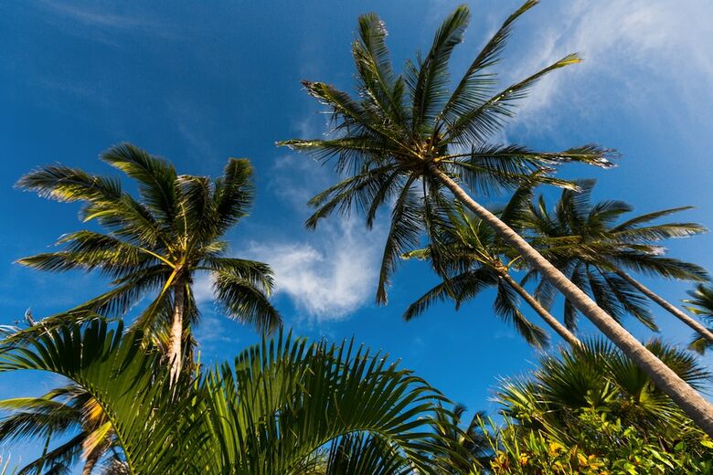 Villa Marunga Luxury And Ocean View