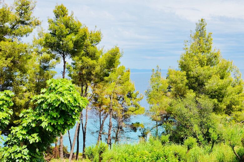 Hotel Aelia Sea View Studios