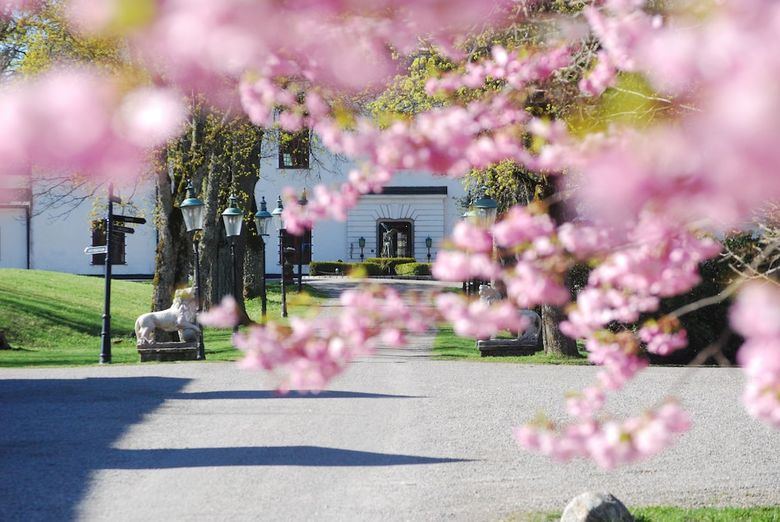 Hotel H�ringe Slott