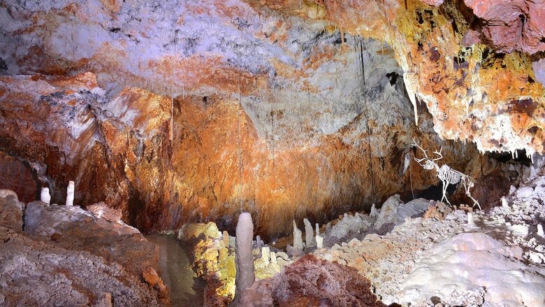 Cabana Aven Grotte Foresti�re