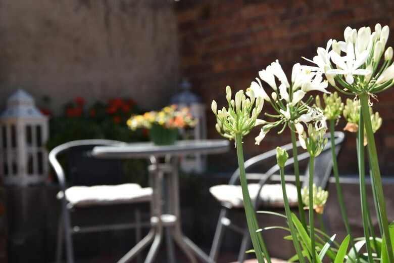 Hotel Julias Havelherberge