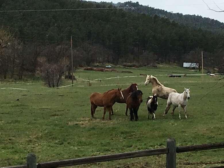 Ghost Canyon Guest Ranch & B&B