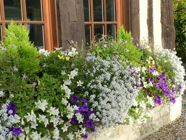 Bed & Breakfast Le Pressoir
