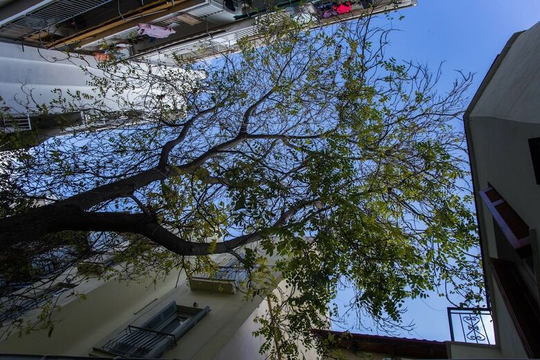 Apartamentos Gk Thiseio