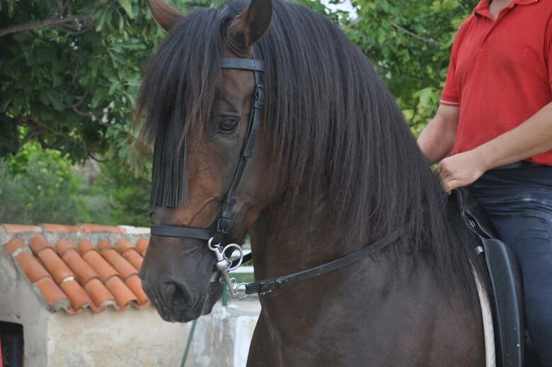 Agroturismo Granja San Miguel Casa Rural