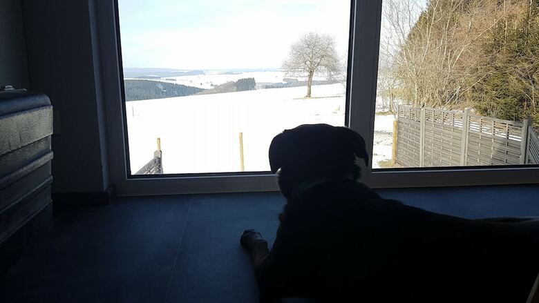 Eifel Dream Ardennenblick