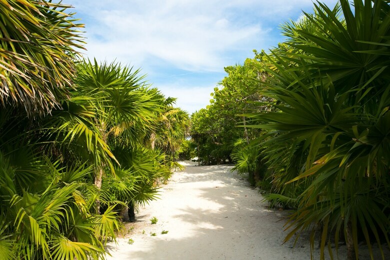 Ikal Hotel Tulum