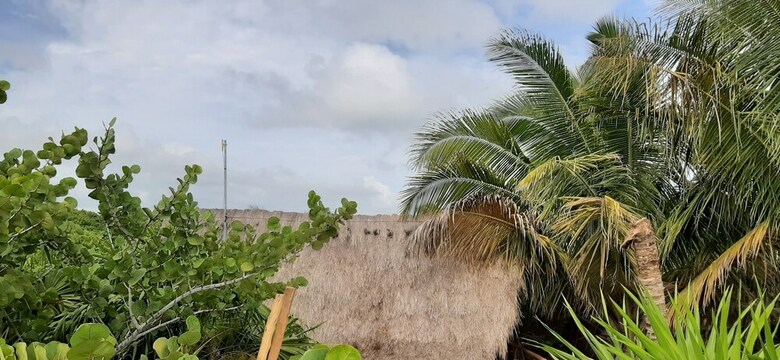Ikal Hotel Tulum