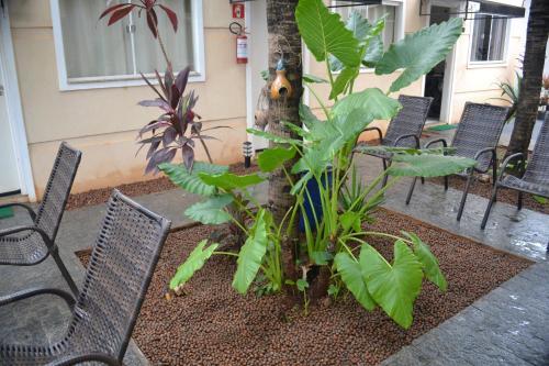 Hostal Pousada Villa Dos P�ssaros