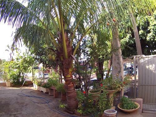 Casa Para Temporada Da V� Cida