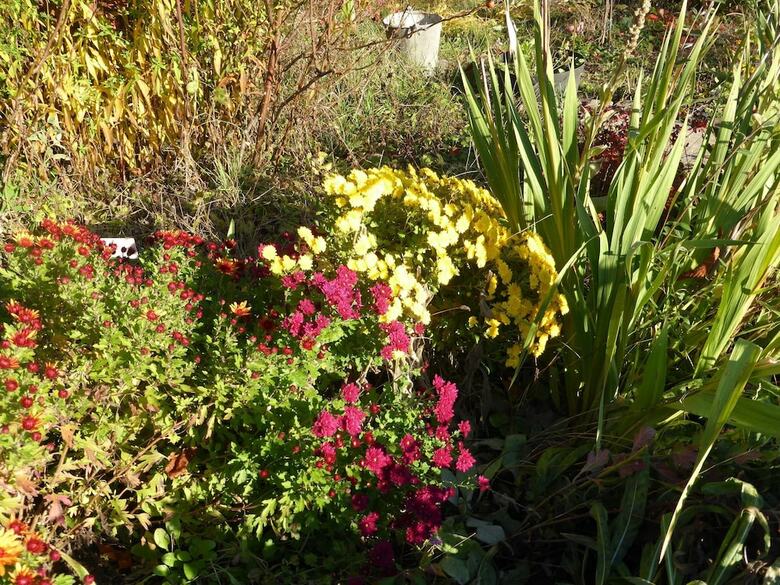 Bed & Breakfast Les Buissonnets