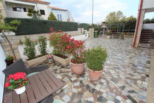Apartments Divna