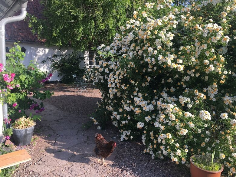H�rhaven Bed And Breakfast