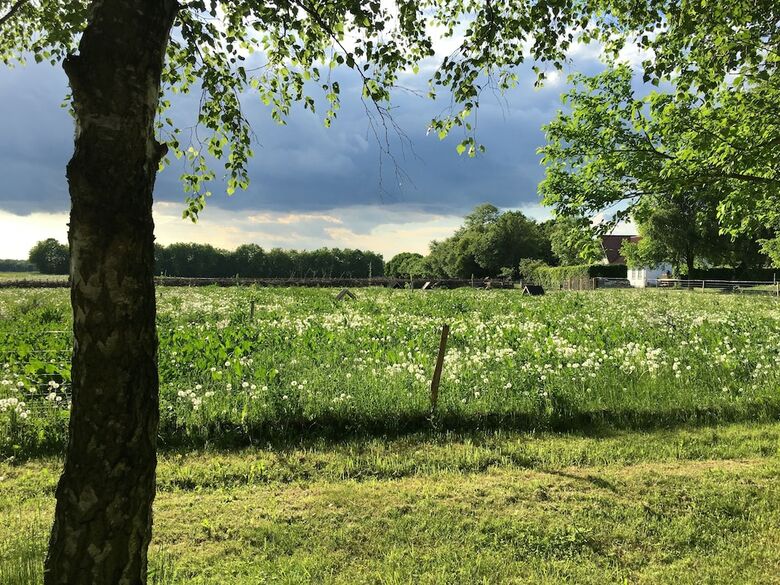 H�rhaven Bed And Breakfast