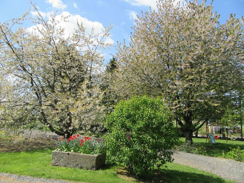 Hotel Le Petit Clos