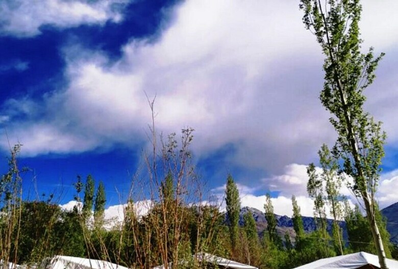 Hotel Nubra Delight Camp