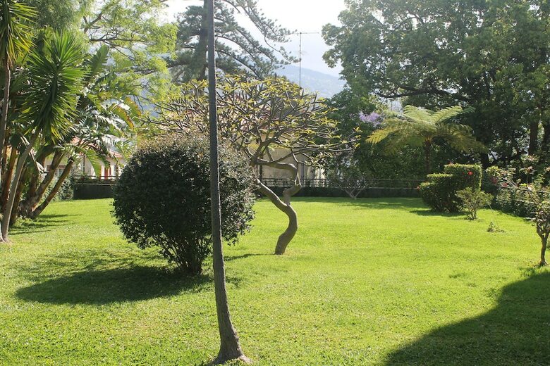 Jasmineiro Palms Palace Apartment