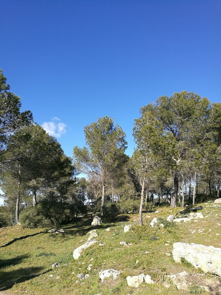 Bed & Breakfast Chambre D'hotes La Cigali�re