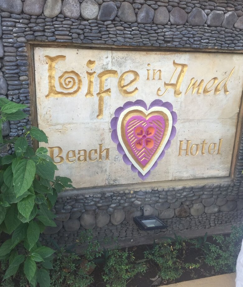 Bed & Breakfast Life In Amed