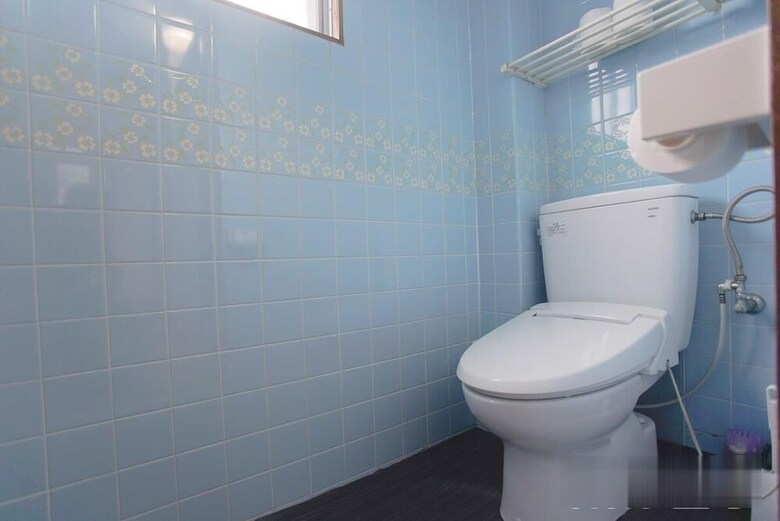 Apartamentos Tsuruhashi Umehouse