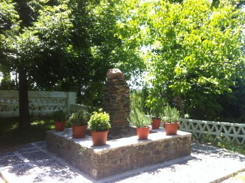 Camping El Balcon De Pitres