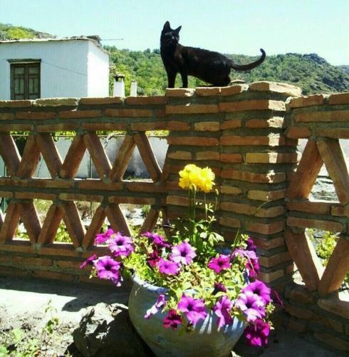 Bed & Breakfast Sierra Y Mar